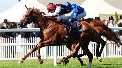 ascot gold cup odds|Ascot Gold Cup odds: Kyprios 10/11 to win for a second time.